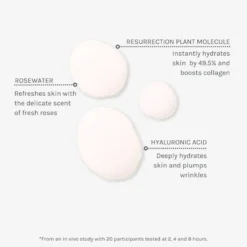 Age Defying Hydrating Face Mist, 100 ml - kosteuttava kasvosuihke