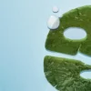 Algae Organic Kelp Mask, 6 g - merilevänaamio