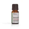 Eteerinen öljy, eucalyptus, 10 ml