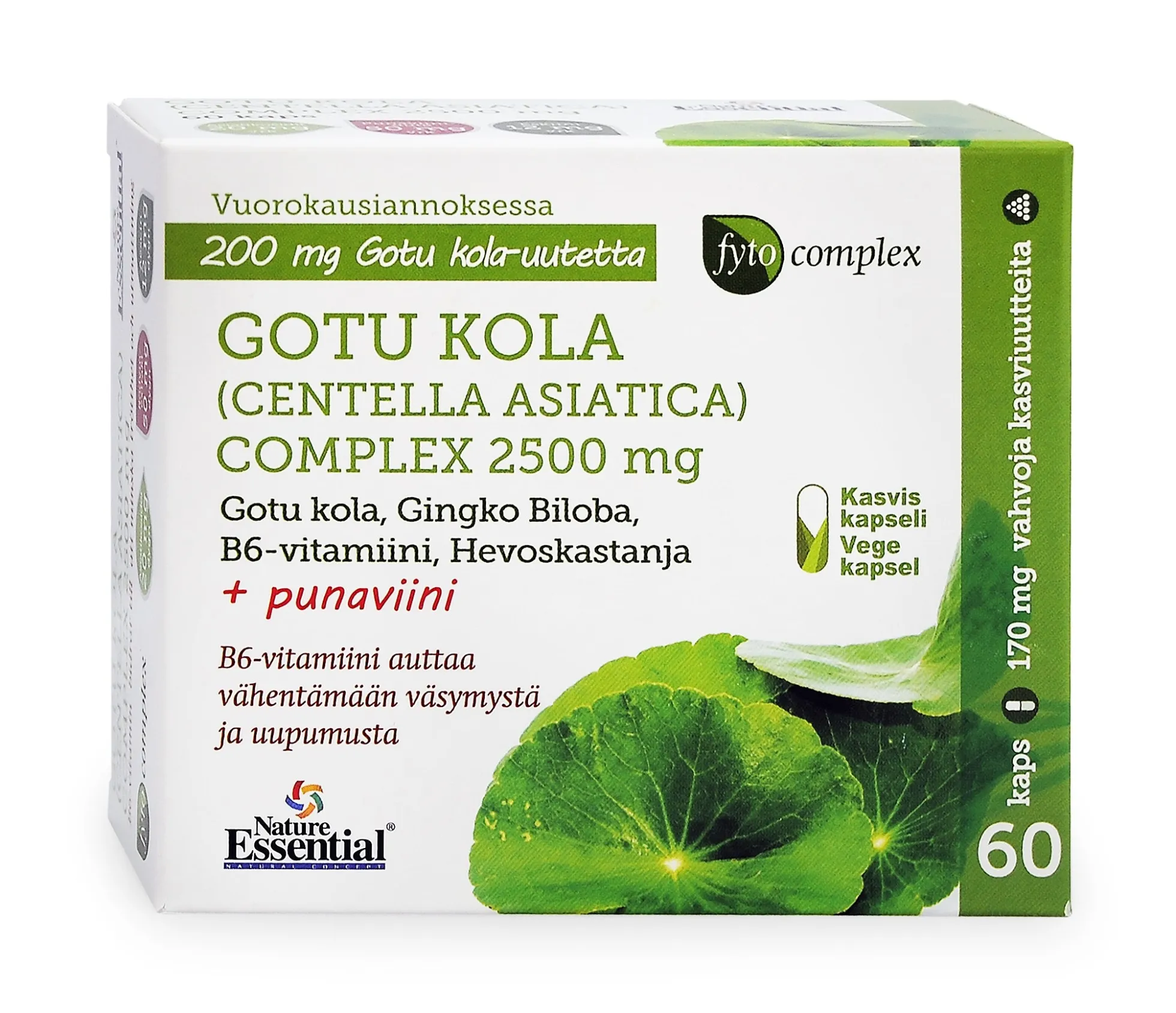 Fytocomplex Gotu Kola + Hevoskastanja + Neidonhiuspuu + punaviininlehti + B6