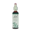 Holly-kukkatipat (Piikkipaatsama) No 15, 20 ml