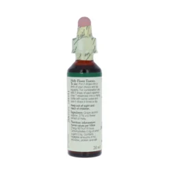 Holly-kukkatipat (Piikkipaatsama) No 15, 20 ml