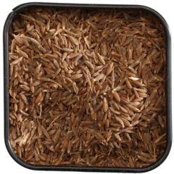 Juustokumina (jeera), kokonainen, 50 g
