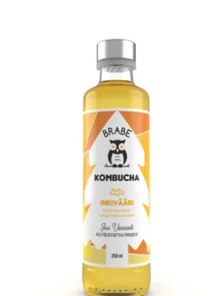 Kombucha inkivääri, 250 ml