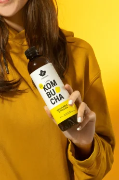 Kombucha, inkivääri & sitruuna, 370 ml