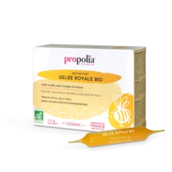 Kuningatarhyytelö -lasiampullit (royal jelly, gelee royal), 1 g