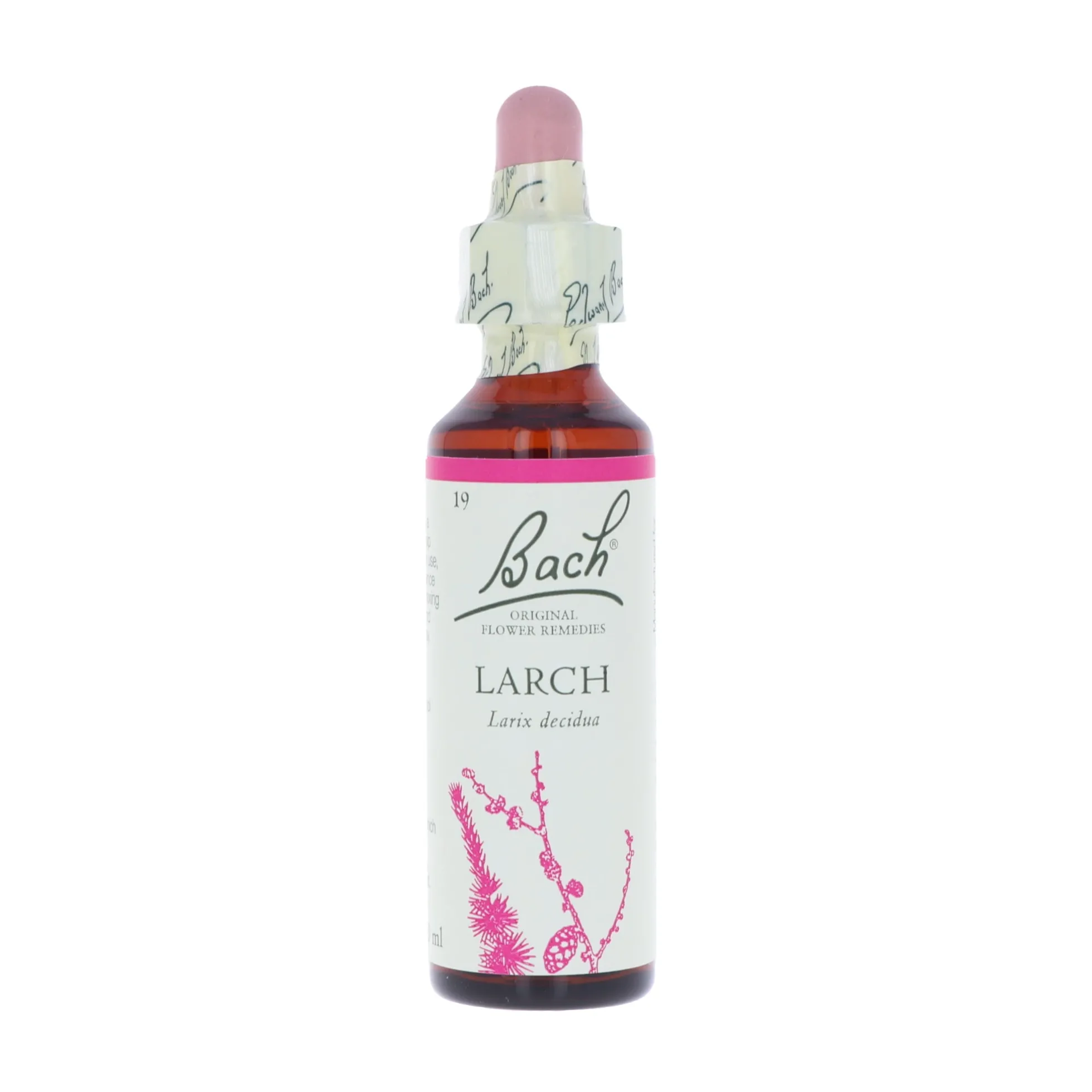 Larch-kukkatipat (Lehtikuusi) No 19, 20 ml