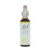 Olive-kukkatipat (Oliivi) No 23, 20 ml