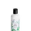 Shampoo, nokkonen-yrtti, 350 ml
