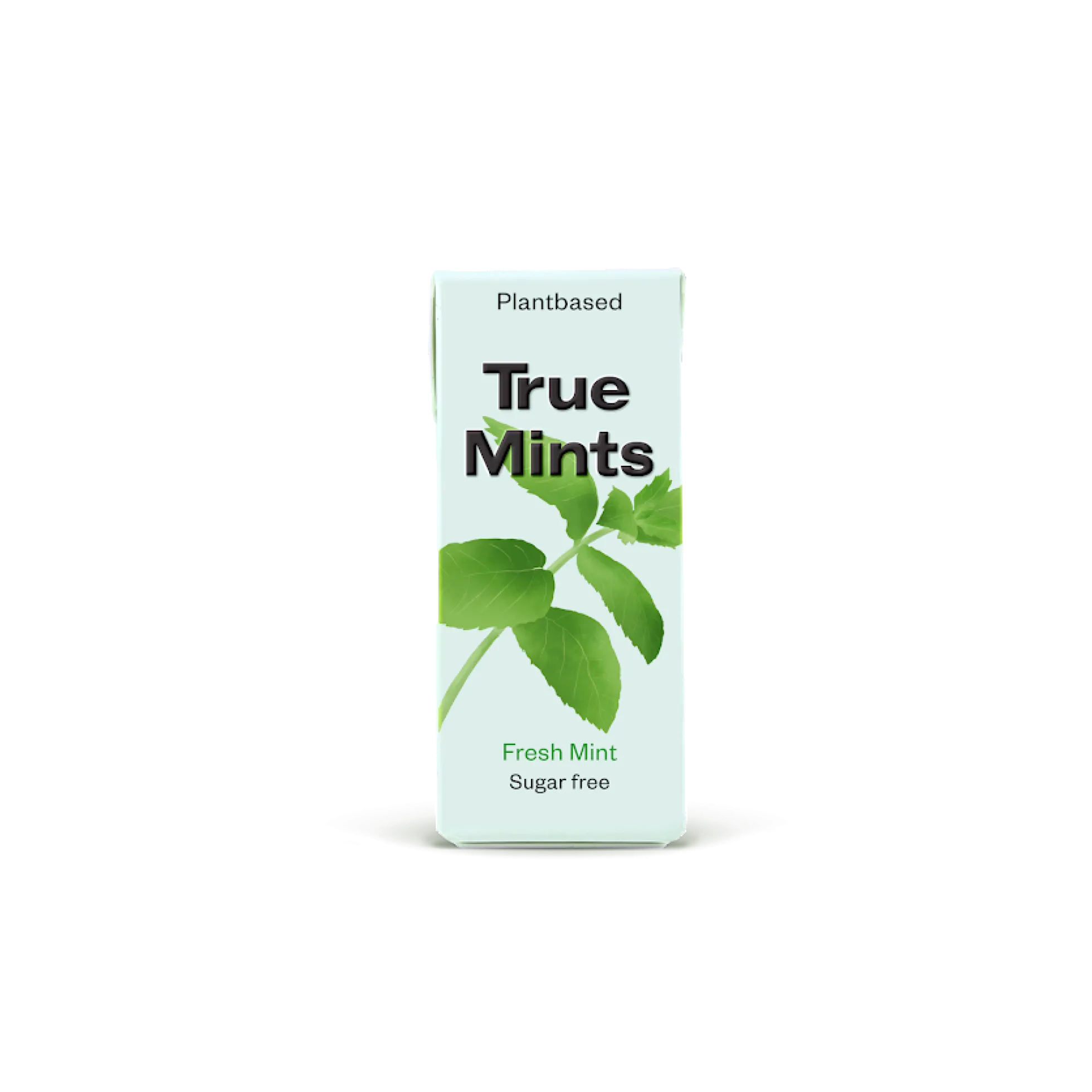 True Mints ksylitolipastilli, minttu, 13 g