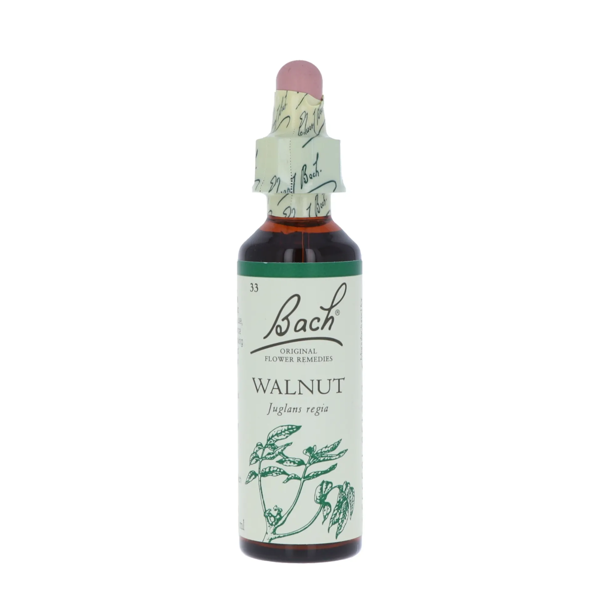 Walnut-kukkatipat (Saksanpähkinä) No 33, 20 ml