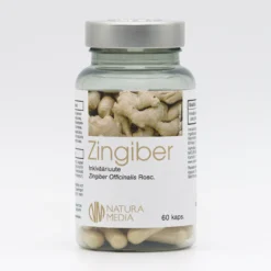 Zingiber (Inkivääri) 60 kaps
